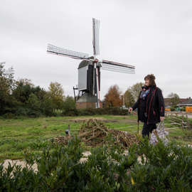Client ervaringsverhaal wandelen voor een molen